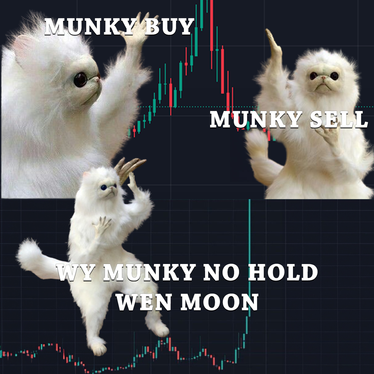 Munky Meme 1